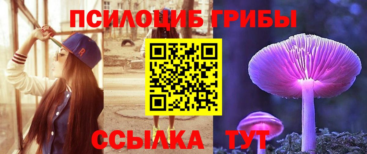Псилоцибиновые грибы Cubensis Когалым