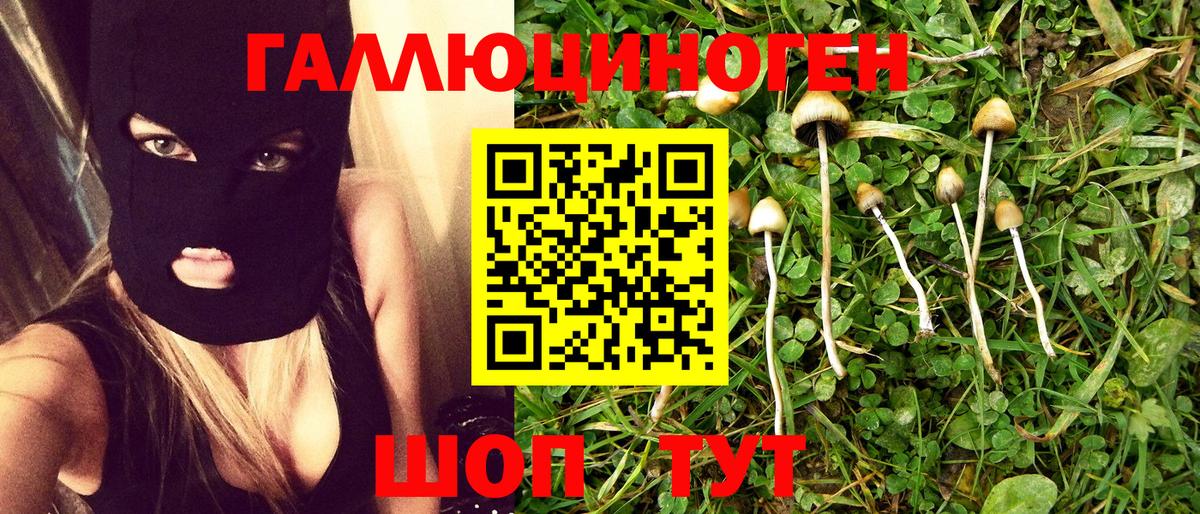 Галлюциногенные грибы Psilocybe  Вход с VPN  Когалым 